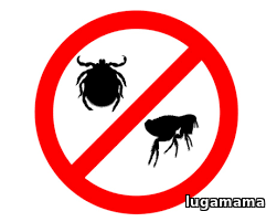 Выбираем средство от блох